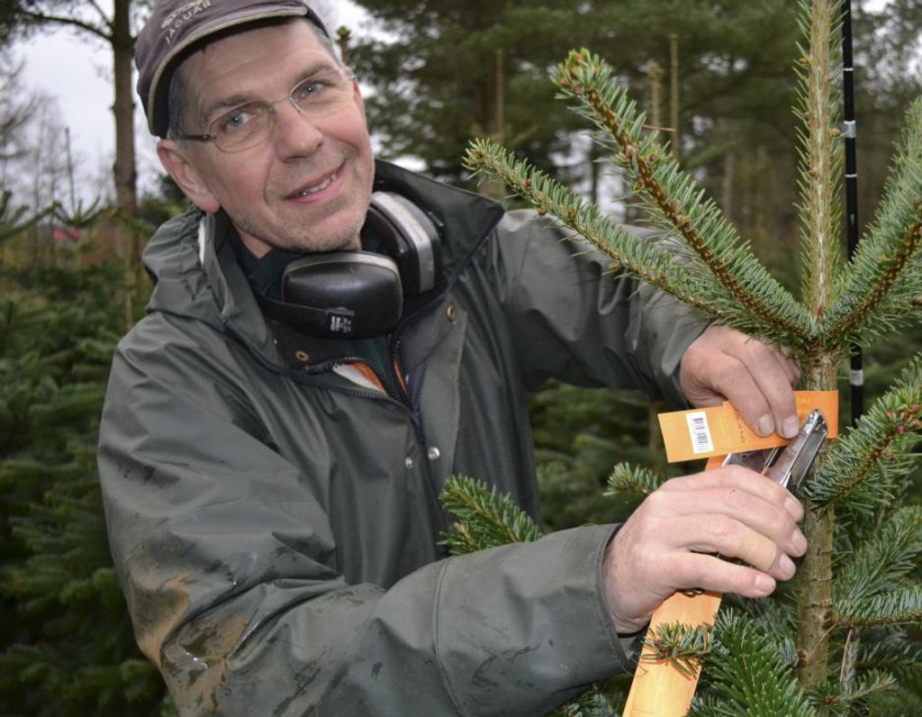 Han kvittede solidt job og blev juletræsproducent - LandbrugsAvisen