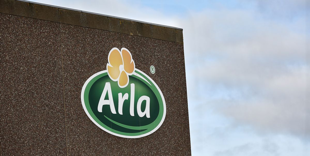 Arla har bremset flugt – og tiltrækker flere, nye andelshavere ...