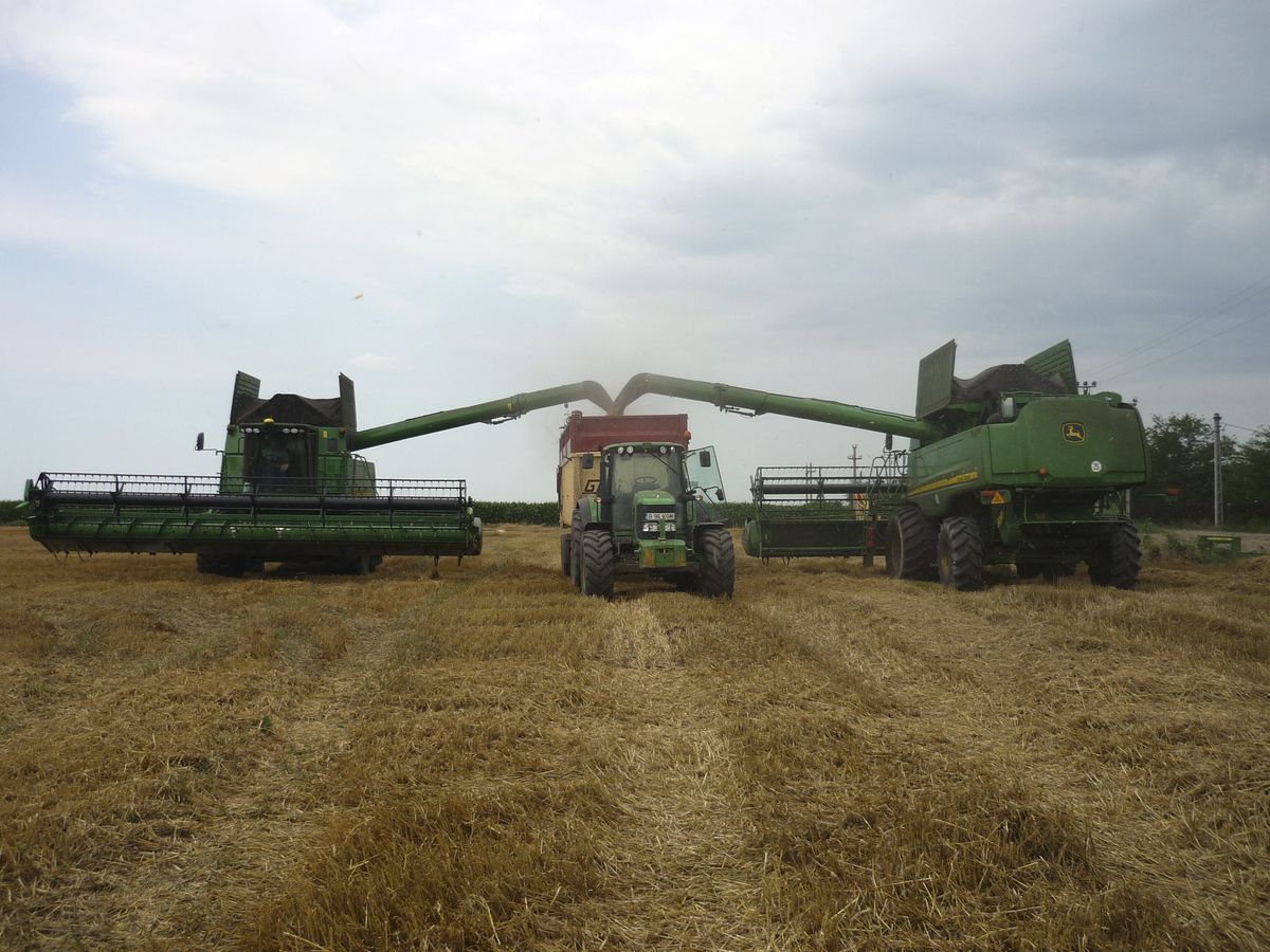 First Farms lejer 400 hektar ekstra i Østrumænien - LandbrugsAvisen