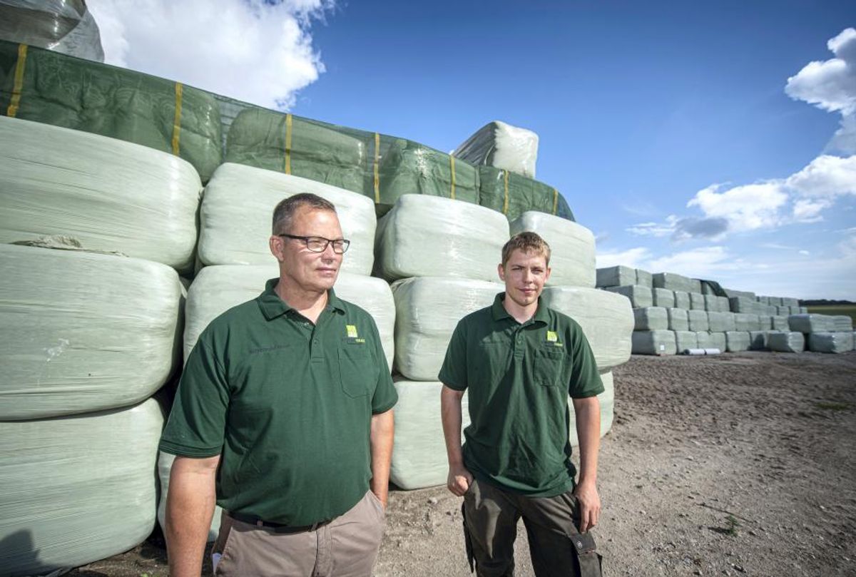 Landmand har gjort millionforretning ud af wrap til heste - LandbrugsAvisen