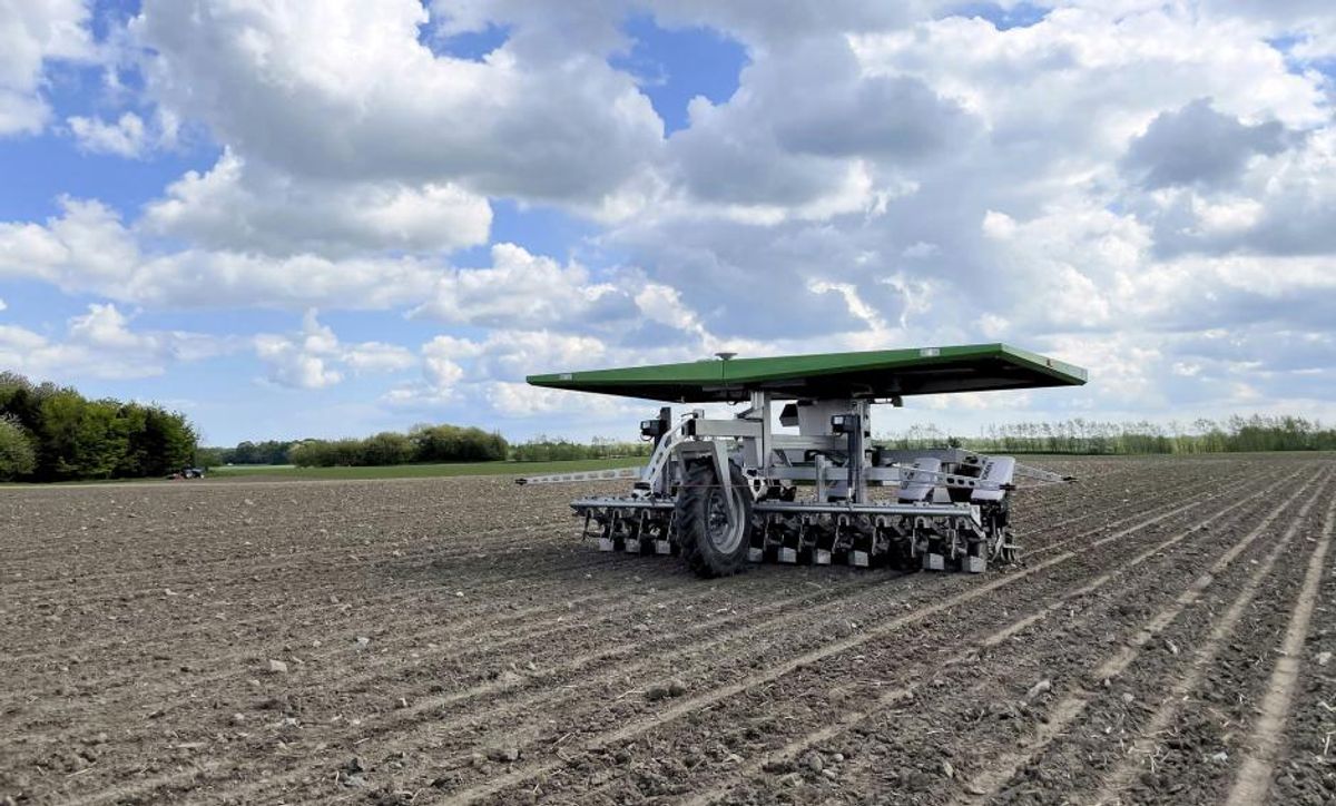 Hold opsyn med din robot – den har ikke øjne i nakken - LandbrugsAvisen