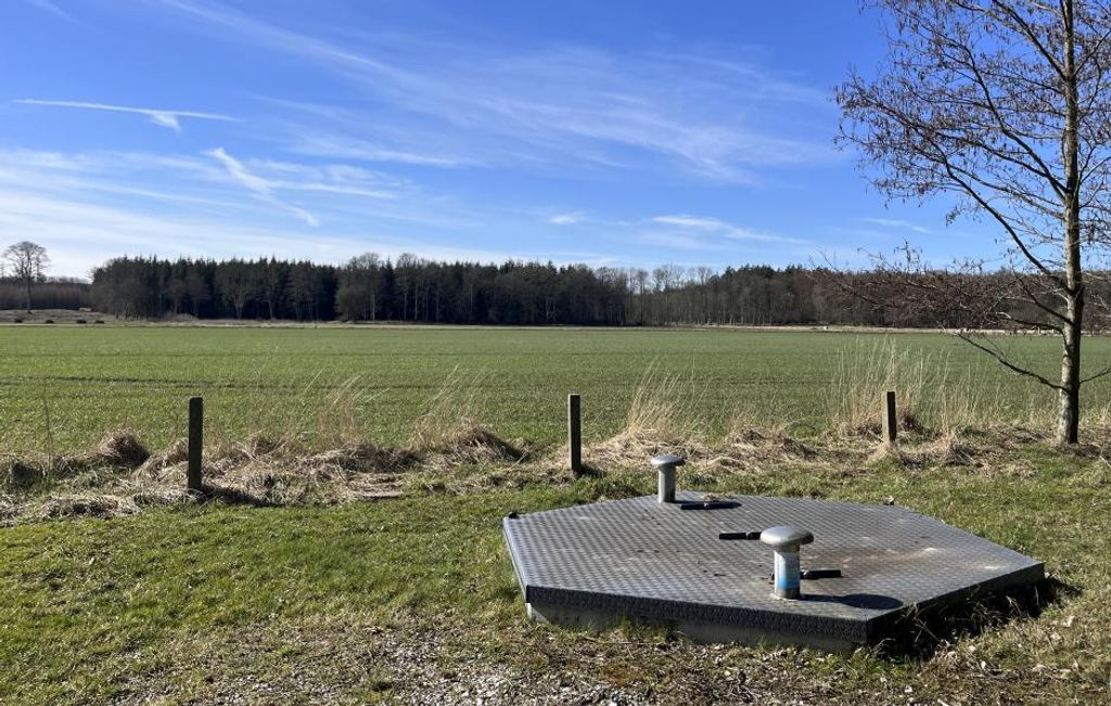 BNBO: Succes kræver flere valgmuligheder - LandbrugsAvisen