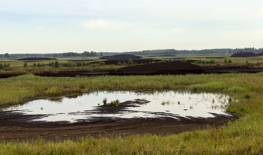 Naturstyrelsen indgår rådgiveraftale på op til 745 millioner kroner ...