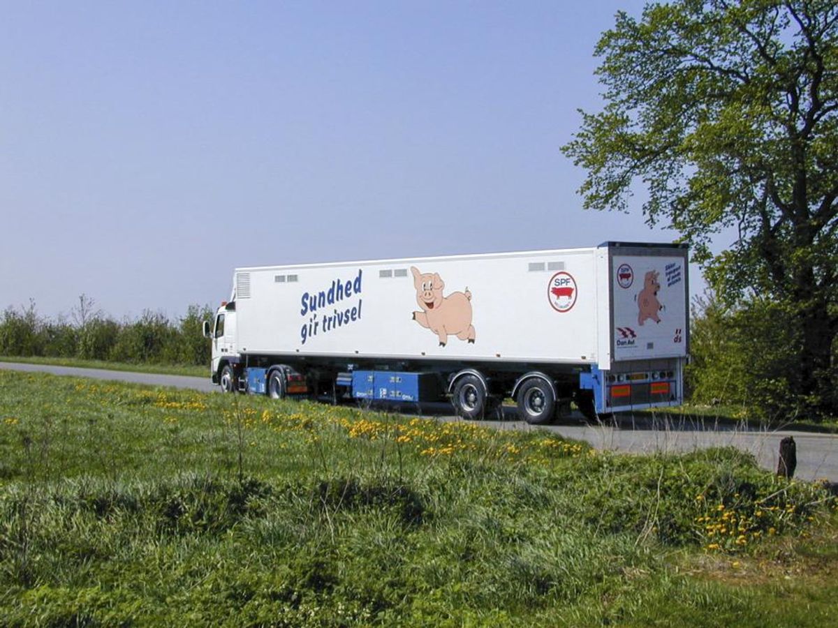 Danish Crown sælger sit tidligere SPF-hovedkvarter til kommune ...