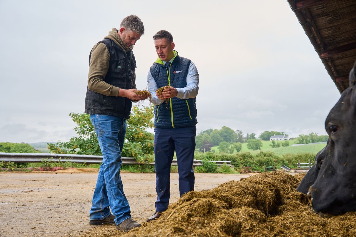 Alltech lancerer nye versioner af toksinbindere - LandbrugsAvisen