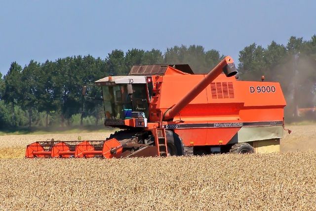 SAXoPicture-000000000BDBBE80-615380445