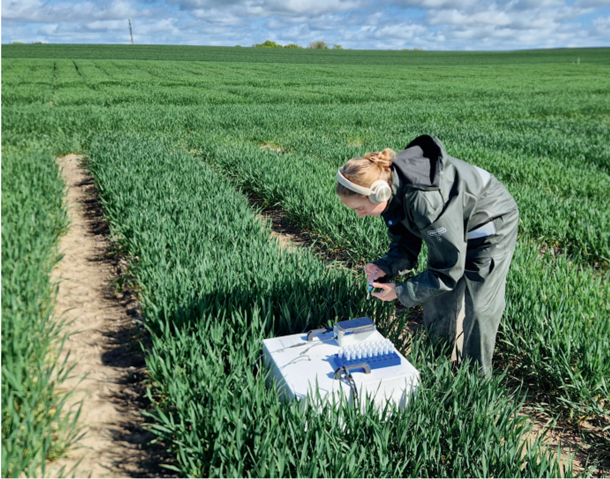 Effektive og Billige Metoder Reducerer Lattergas - økonomi news from LandbrugsAvisen